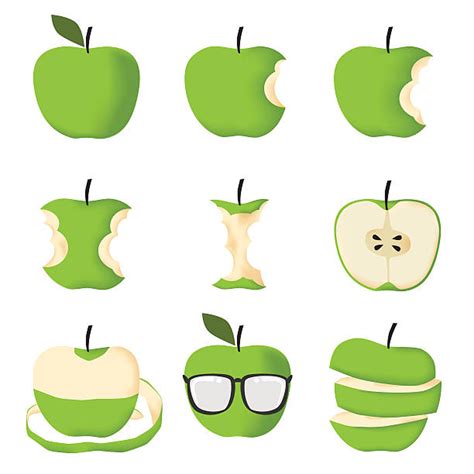 1000 Apple Peel Stock Illustrations Royalty Free Vector Graphics