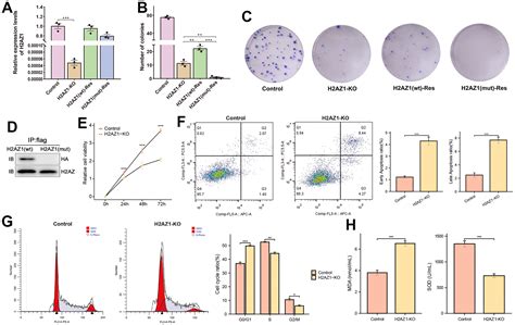 Identification And Validation Of An H2az1 Based Index Model A Novel