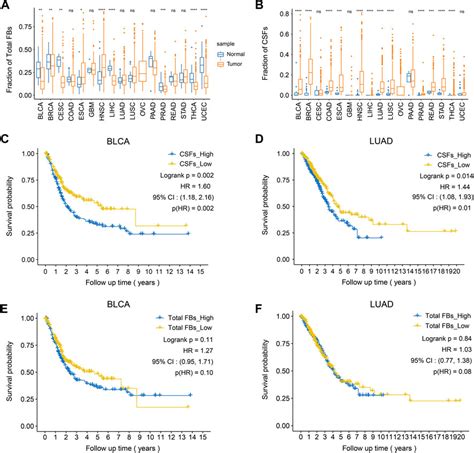 Frontiers Single Cell Analysis Reveals The COL11A1 Fibroblasts Are