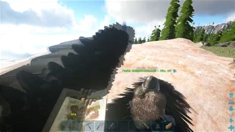 Tuto Ark Pc Xbox Ps Tame Cage Griffons Fr Youtube