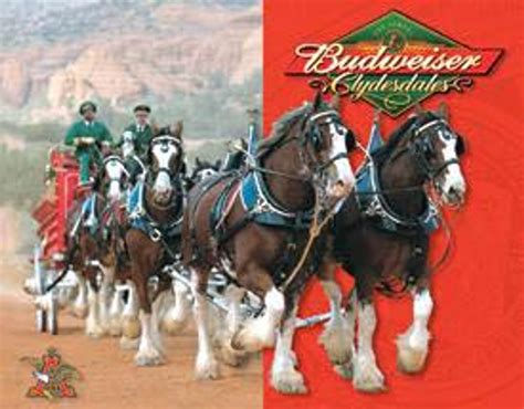 Budweiser-Clydesdales - American Collectibles