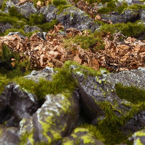 Repiterra Terrarium R Ckwand D Hintergrund Kaufland De