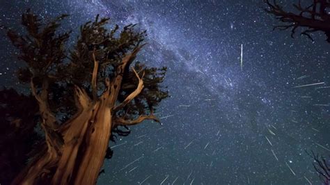 Perseid Meteor Shower 2023 Date and Peak Time: What Are Perseids? When, Where and How To See the ...