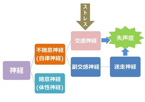 突然声が出ない失声症の症状と原因は？失語症・緘黙症とどう違う？｜病気スコープ