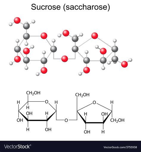 Chemical formula and model of sucrose Royalty Free Vector