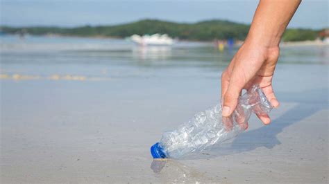 10 Acciones Personales Para Cuidar El Medio Ambiente El Target