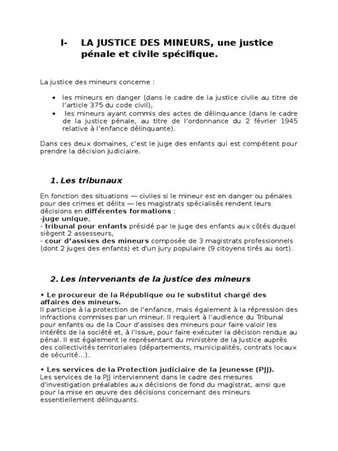 La Justice Des Mineurs Juge Félonie