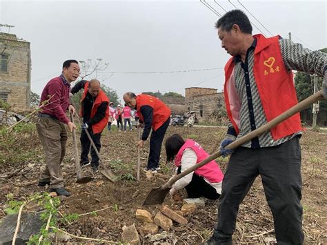 洋青镇：以“党建红”赋能“生态绿”，绘就绿美新画卷遂溪县人民政府公众网站