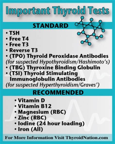 Diagnosis Test Hashimoto Blood Test Diagnosis