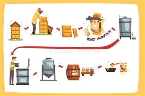 Etapas Del Proceso De Producci N De La Miel Apicultores Que Cosechan