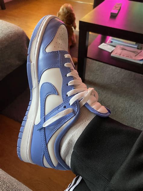 Nike Dunk Low On Feet Factory Sale | bellvalefarms.com