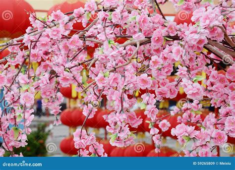 Chinese New Years Flowers - Latest News Update