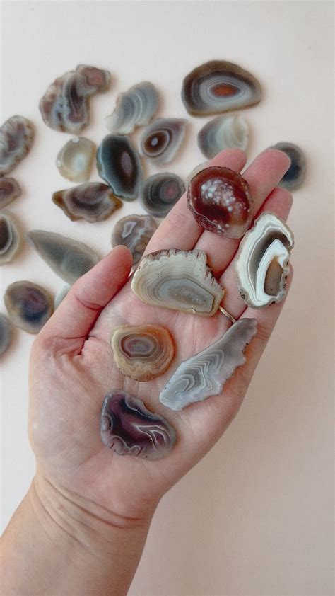 Autumn Alchemy Whimsy Wellness