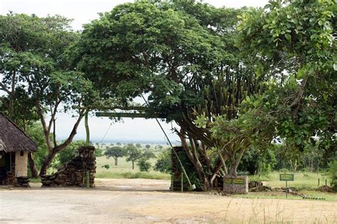 ミクミ国立公園での2日間のサファリ 宿泊 食事 ダルエスサラーム タンザニア Tripadvisor