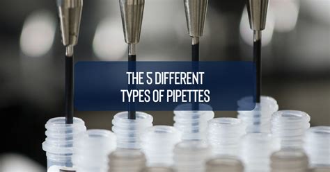 The 5 Different Types of Pipettes - JARCET Shared Services