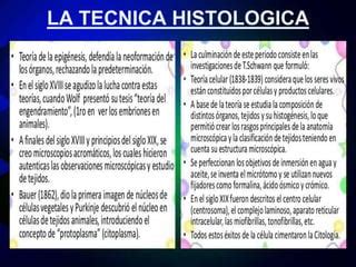 La Tecnica Histologica Ppt Descarga Gratuita