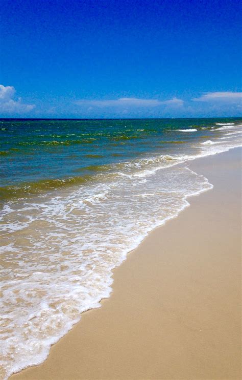 St George Island, Florida | Beautiful beaches, Saint george island, Beach