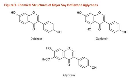 Soy Lecithin Chemical Structure