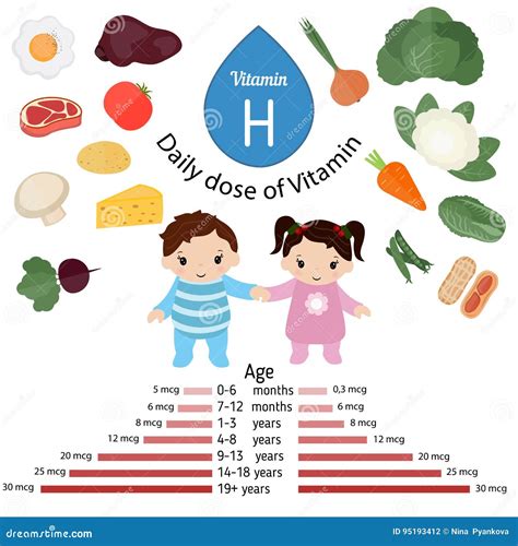 Infographic的维生素h或的生物素 向量例证 插画 包括有 新鲜 海报 土豆 花生 健康 95193412