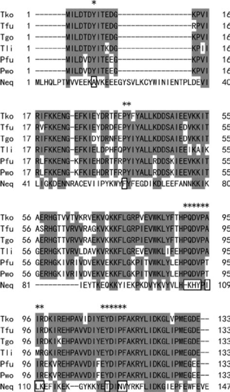 Amino Acid Sequence Alignment Corresponding To Residues 1 To 147 Of Download Scientific