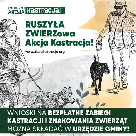 Ruszamy Ze Zwierzow Akcj Kastracja W Kazimierzy Wielkiej Rok