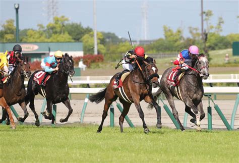 【神戸新聞杯】ヴェローナシチー菊花賞の主役に王手 日刊ゲンダイ競馬