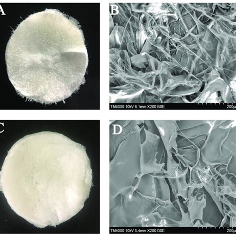 Bactrian Camel Skin Collagen As Viewed By The Naked Eye A PSC And