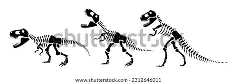 Tyrannosaurus Rex Skeleton Silhouette Vector Illustration 库存矢量图（免版税