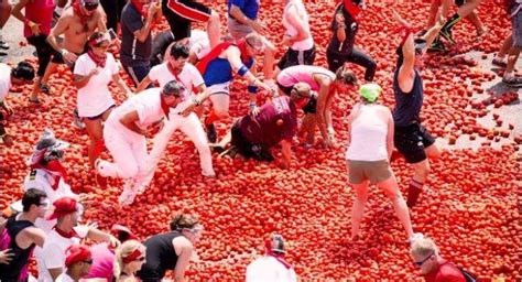 La Tomatina Festival - Happy Hobo