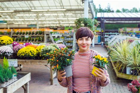 Créer un jardin d hiver en appartement les plantes idéales pour