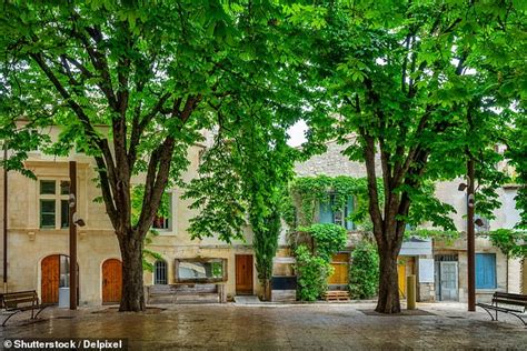 A brush with Van Gogh in picture-perfect Provence: How to create your ...