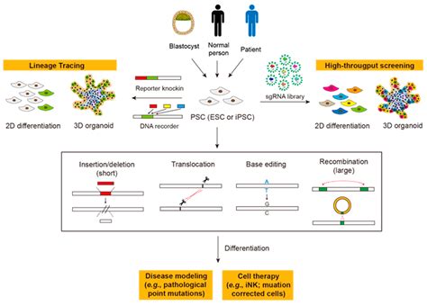 Biomedicines Free Full Text Progress And Prospects Of Gene Editing