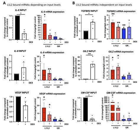 GC Modulates ZFP36L1 L2 And GR Binding To Their MRNA Targets BEAS 2B