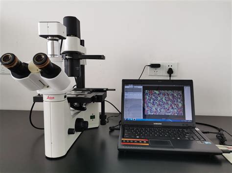 Leica徕卡倒置显微镜dmil 徕卡生物显微镜 徕卡显微镜 阿里巴巴