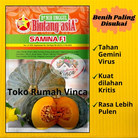 Jual Bibit Benih Labu Kuning Waluh SAMINA F1 10 Gram Cap Bintang Asia