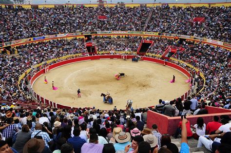 Notiferias En Venezuela Y El Mundo 50 AÑos De La Plaza De Toros “roman