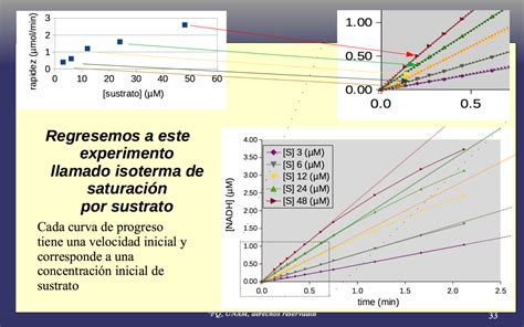 Isoterma De Saturaci N