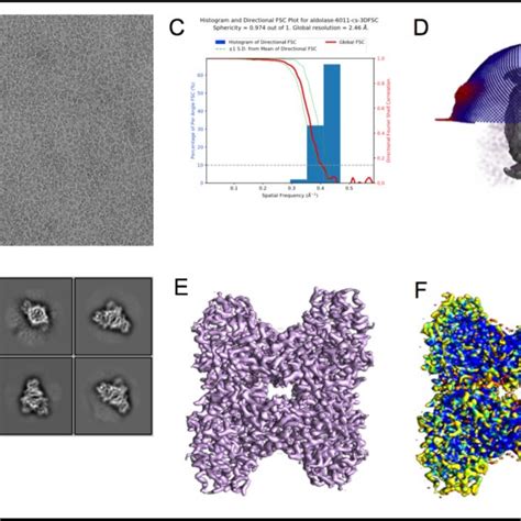 Pdf Benchmarking Cryo Em Single Particle Analysis Workflow