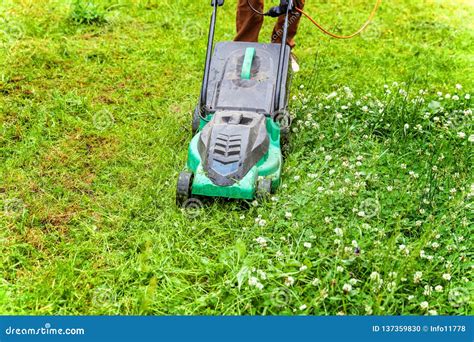 Homem Que Corta A Grama Verde O Cortador De Grama No Quintal Foto