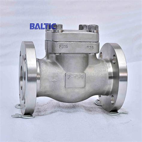 Swing Check Valve With Eyebolt A182 F304 DN50 PN420 Baltic