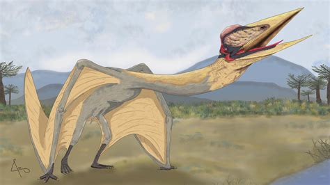 Flying ‘dragon Of Death Is The Largest Pterosaur Discovered In South