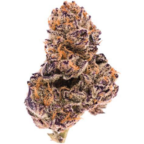 Grape Fritter High Thc Indica Leaning Hybrid Mmjdirect