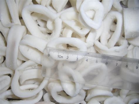 Frozen Squid Ring IQF Seafood Skinless China Squid And Fish