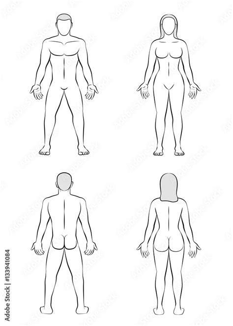 Man and woman - posterior and anterior view - outline illustration of ...