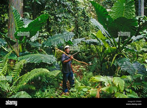 Kosrae People Hi Res Stock Photography And Images Alamy