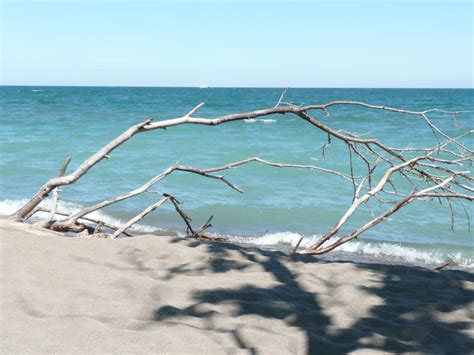 Vittorio Sereni La Spiaggia The Beach Parallel Texts Words Reflected