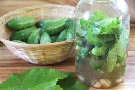 How To Ferment Pickles In A Mason Jar A Traditional Life