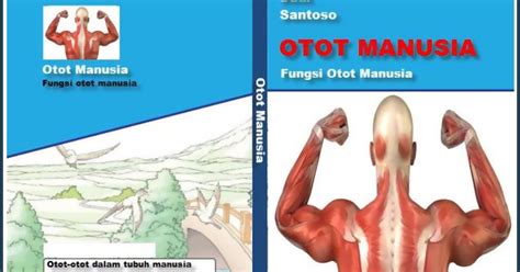 Cover Buku Otot Manusia Sketsa