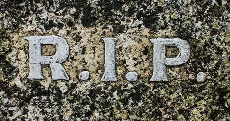 ripriprip kimini