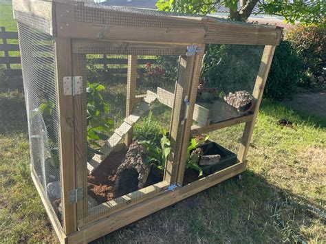 Bearded Dragon Outside Summer Enclosure Custom Build Rbeardeddragons